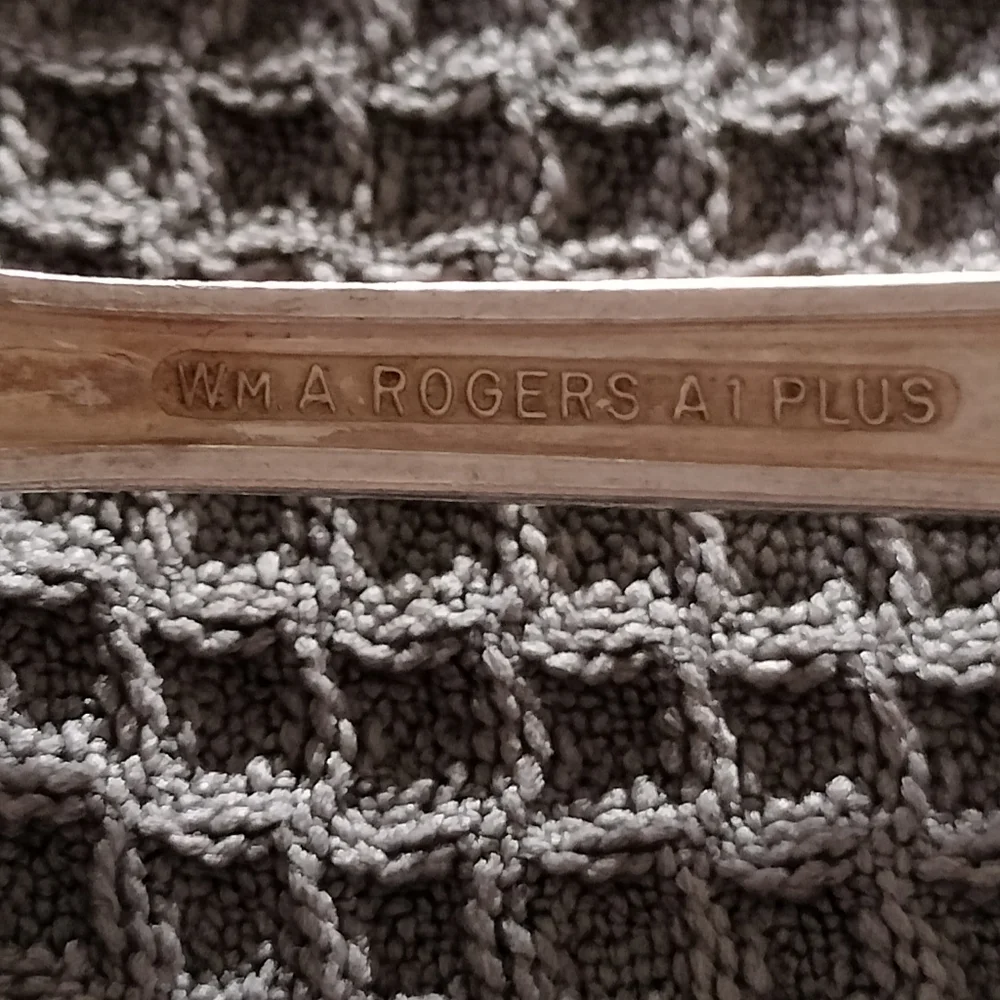 William Rogers Vintage Silverplated 1 Pie Server 2 Spoons Wild Rose Oneida